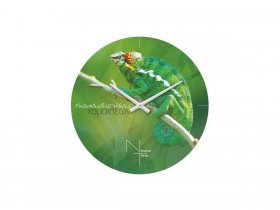 Часы настенные Nicole Time NT503 в Жатае - zhataj.mebel-nsk.ru | фото